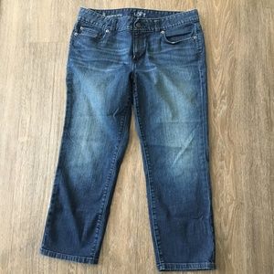 Ann Taylor LOFT Modern Crop SZ 29/8